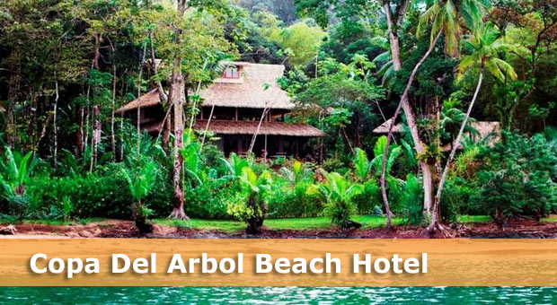 costa-rica-beach-hotels-copa-del-arbol
