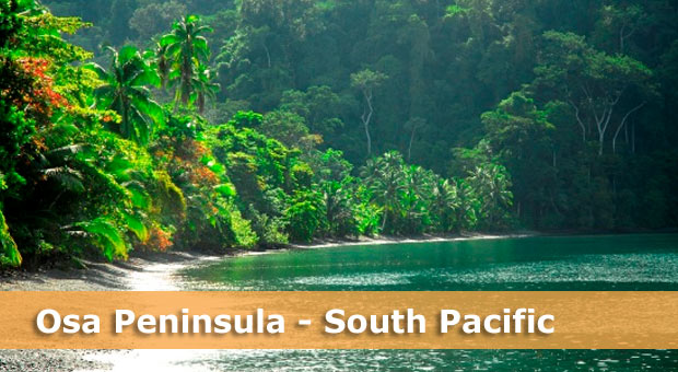 costa-rica-beach-hotels-osa-peninsula