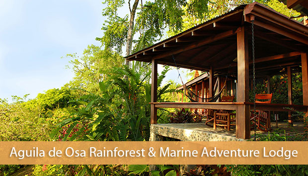 Aguila de Osa Rainforest & Marine Adventure Lodge