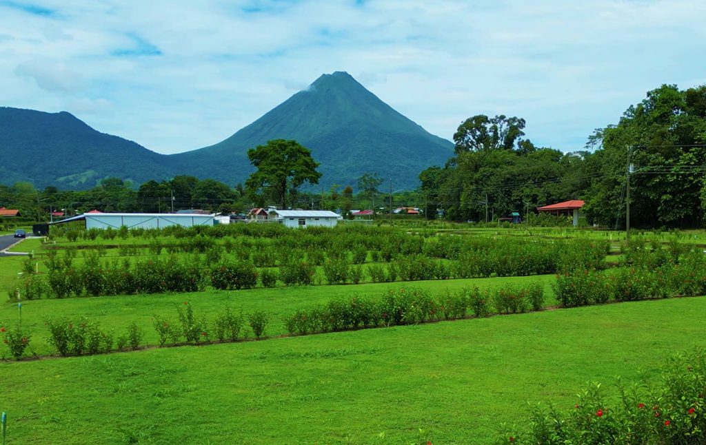 La Fortuna, San Carlos, Costa Rica - Real Estate for Sale